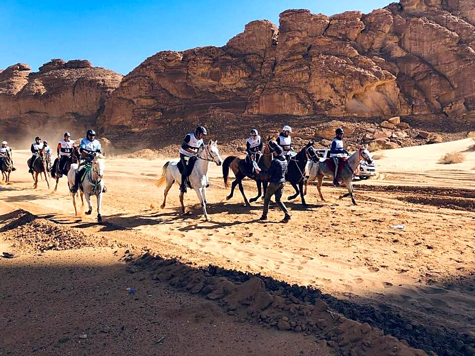 فرسان بين صخور العُلا