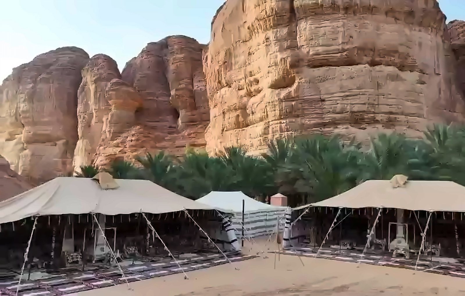 Camp tents among the palms