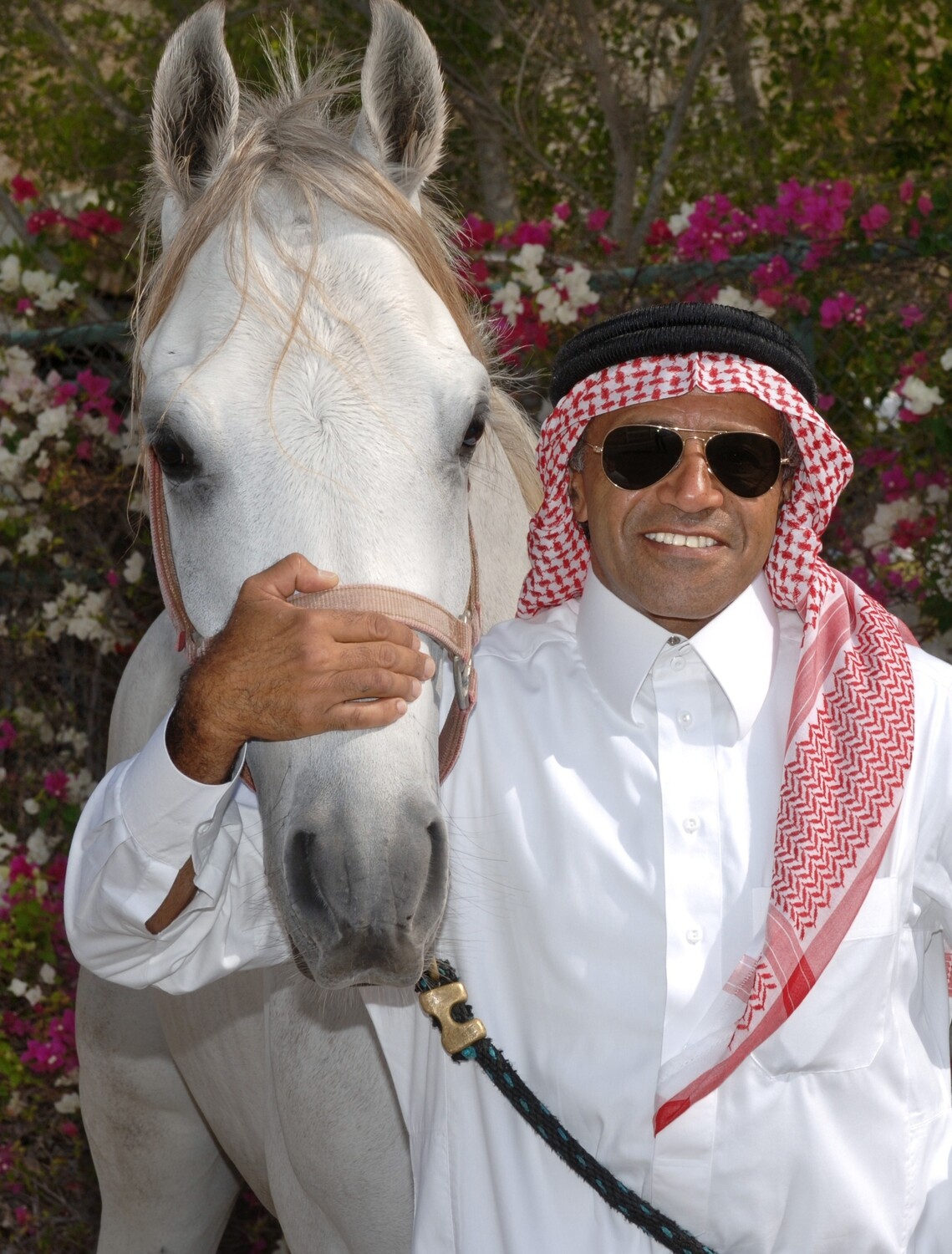 طارق طاهر مع جواده العربي